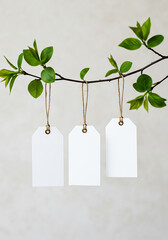 Blank Paper Tags Hanging from Tree Branch with Green Leaves – Nature-Inspired Label or Gift Tag Design