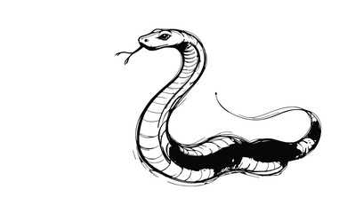 Fototapeta premium Curved Snake Line Art Vector – Side View Serpent Illustration with Flicking Tongue in Smooth Wavy Body Shape