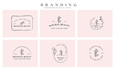 Minimal feminine botanical floral branch and logo. Hand drawn wedding herb, homeplant with elegant leaves. Botanical rustic trendy greenery