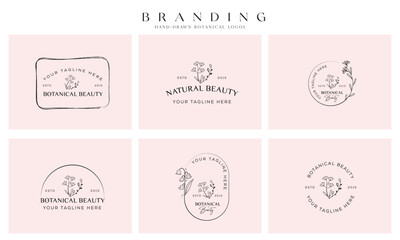 Minimal feminine botanical floral branch and logo. Hand drawn wedding herb, homeplant with elegant leaves. Botanical rustic trendy greenery