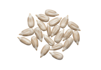 Pile of hulled white sunflower seeds, a healthy raw snack. Isolated on transparent background, png