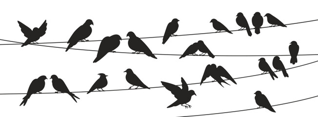 Birds flock on wire, perched on electric cable, sitting on power line. Black silhouettes, shades, shadows in rows on strings, gathering together. Flat vector illustration isolated on white background
