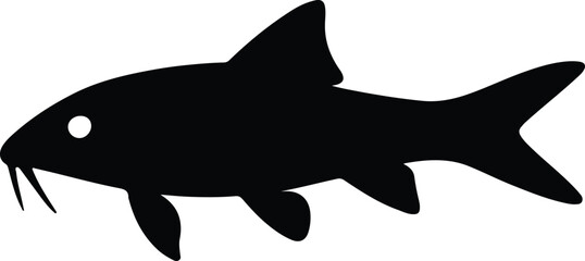 Fototapeta premium Silhouette Gyrinocheilus aymonieri suckerfish black and white minimalist vector illustrator