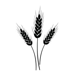 Three Wheat Stalks Silhouette Isolated on White Background for Graphic Design