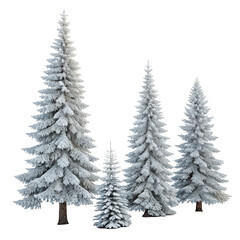 Obraz premium Group of snow covered pine trees isolated on transparent background