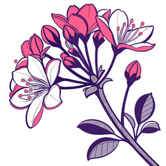 vector illustration of viburnum