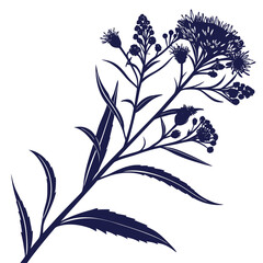 black and white  iron weed flower