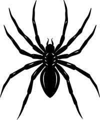 spider on a white background, Spider vector, spider black silhouette vector, Creepy black spider with spiky legs isolated on white background, vector