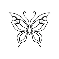 Butterfly line art, butterfly line drawing
