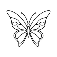 Butterfly line art, butterfly line drawing