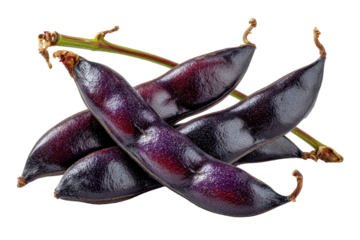 Dark Purple Broad Beans Fresh Harvest Organic Produce,, isolated on a transparent background