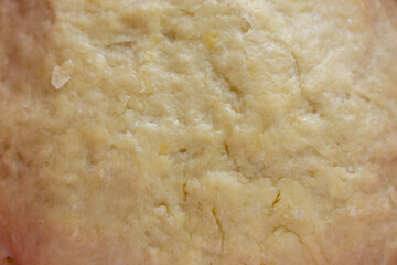 close-up of smooth risen dough in a bowl