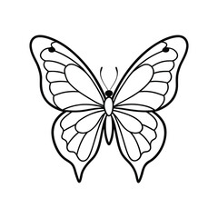Butterfly line art, butterfly line drawing