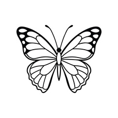 Butterfly line art, butterfly line drawing