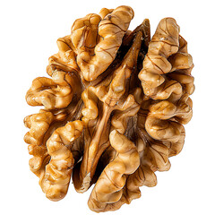 Close-up of a Single Walnut Kernel with Intricate Textures and Natural Patterns