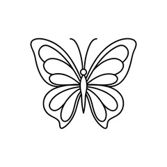 Fototapeta premium Butterfly line art, butterfly line drawing