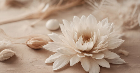 Delicate White Flower