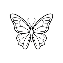 Butterfly line art, butterfly line drawing