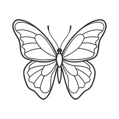 Butterfly line art, butterfly line drawing