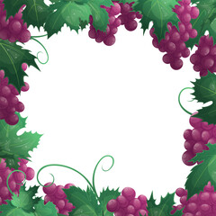 A set with branches and bunches of red grapes in the form of a frame on a white background. The concept of the wine festival, tasting, vineyard. Vector illustration for poster, banners, flyers, covers