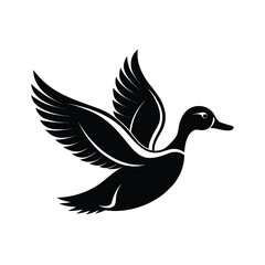 Fototapeta premium Black silhouette of a male duck in mid flight against a clean white background