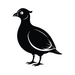 A detailed black silhouette of a partridge bird resting peacefully on the ground