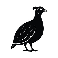 Elegant black silhouette of a partridge bird resting on the ground