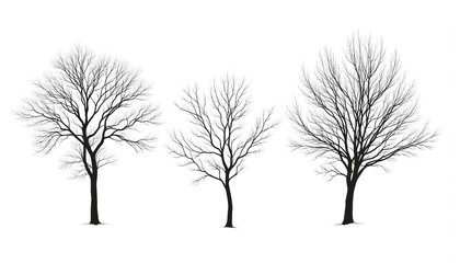 Obraz premium Dark green three-leafed tree stands in center, branches reaching outwards. Tree is focus, contrasting against light gray background. Simple, minimalist illustration.