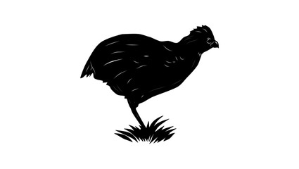 Black-breasted Wood-Quail bird , black isolated silhouette