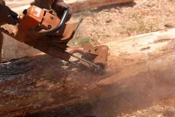 a worker debarking tree trunk using portable debarker