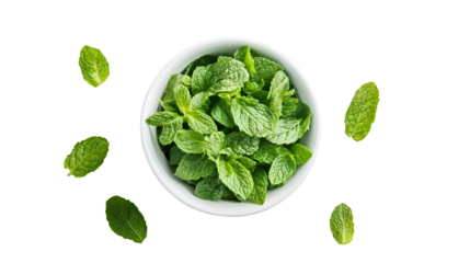 Overhead view of a white bowl filled with fresh mint leaves and scattered mint isolated on transparent background