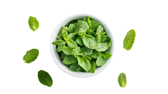 Overhead view of a white bowl filled with fresh mint leaves and scattered mint isolated on transparent background