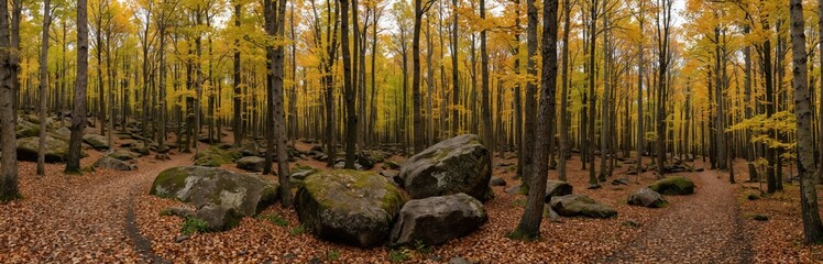 Fototapeta premium Forest scene with light brown color, calm, serene atmosphere. Trees stand tall, leaves darker green, fallen leaves on ground, warm, rustic ambiance. Tree roots extend deep into ground, giving sense