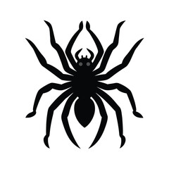 Intimidating tarantula spider in defensive stance black silhouette vector graphic