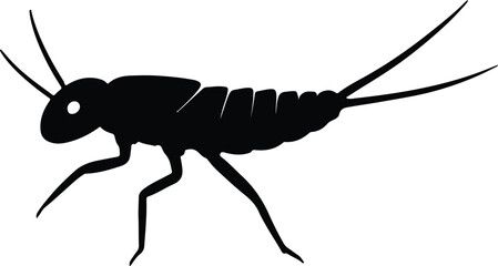 Silhouette Mayfly insect isolated on white background vector illustrator