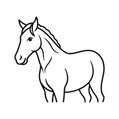 Horse line art, horse line drawing