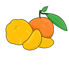 Fresh Citrus Fruits: Tangerines, Orange Slices, Healthy Food, Isolated on Black