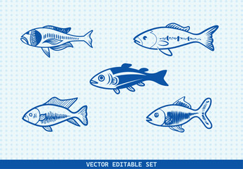 This editable vector set features four unique hand-drawn fish illustrations. perfect for seafood menus, kids’ books, educational materials, aquarium infographics