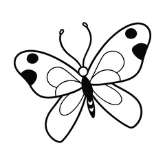 butterfly on white background