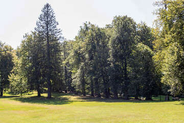 Breathtaking Nature Landscape: Scenic Wilderness