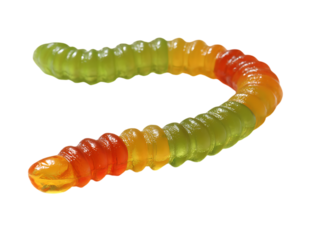 Gummy worm candy with green orange and yellow colors isolated on a transparent background sweet dessert