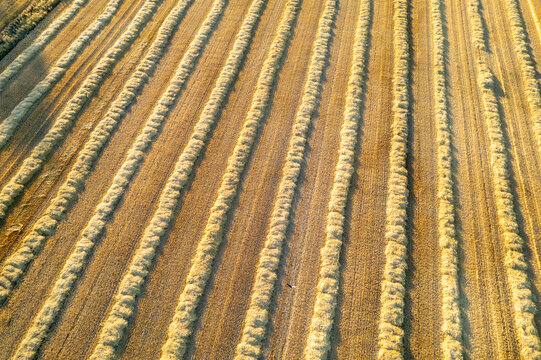 A Drone Shot of a Rural Landscape in the Evening Light. Concept The peaceful end to a day.