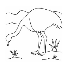 Ostrich bending to eat grass in a landscape bird animal