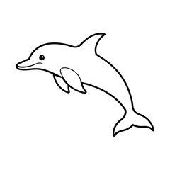 dolphin isolated on white background