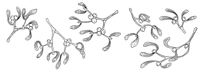 Christmas botanical mistletoe branches. Hand drawn holiday illustration with leaves and berries. Black and white vintage ink drawing. Vector image for frames, borders and New Year's themed decoration.