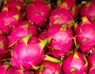 Close up of red dragon fruit in the market