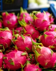 Close up of red dragon fruit in the market
