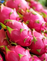 Close up of red dragon fruit in the market