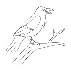 Perched raven open beak on branch bird tree