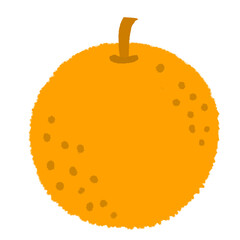 vector illustration of an orange
